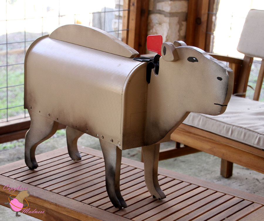 All Things Capybara