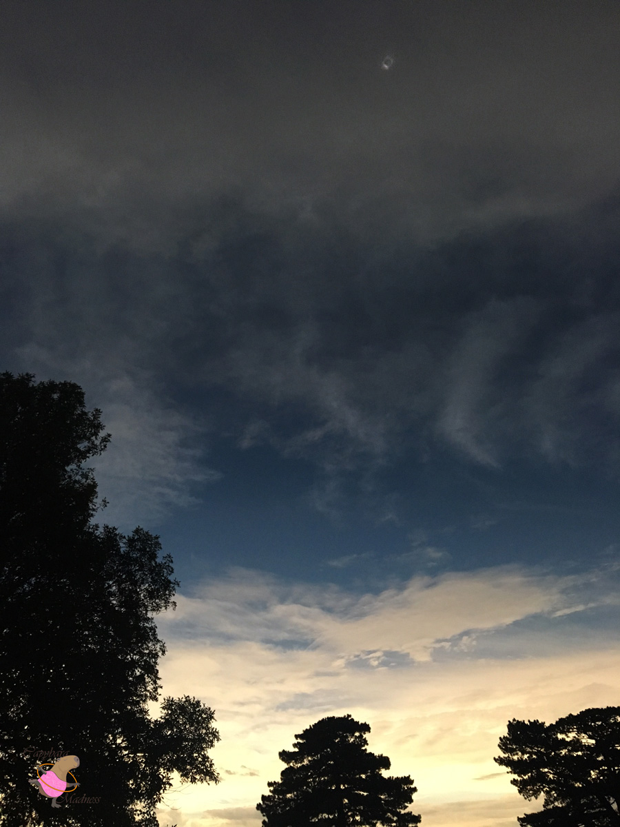 Day into Night Part 2
